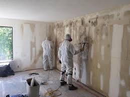 Trusted Devola, OH Mold Prevention & Removal  Experts